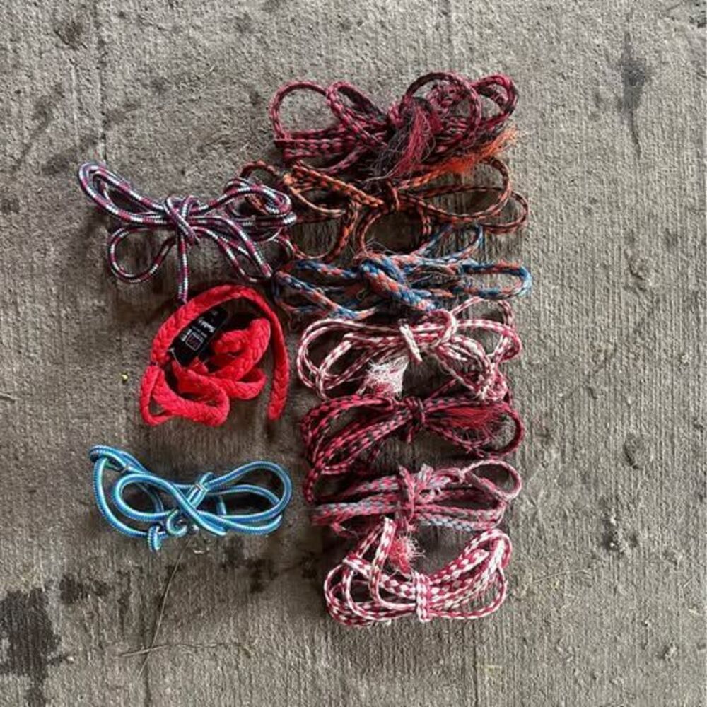 (10) Rope Halters for Sheep/Goats - Includes NEW Sullivan Show Halter